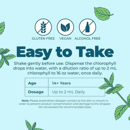 MARYRUTH'S Chlorophyll Liquid Drops | Clean Label Project Certified® | Vegan | Non-Diluted Liquid Chlorophyll| Mulberry Derived Supplement for Ages 14+ | Non-GMO | Delicious Minty Flavor | 2 Fl Oz